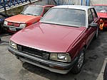 P1000990.JPG